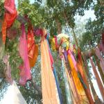 Vraj-Yatra-2014- (1705)